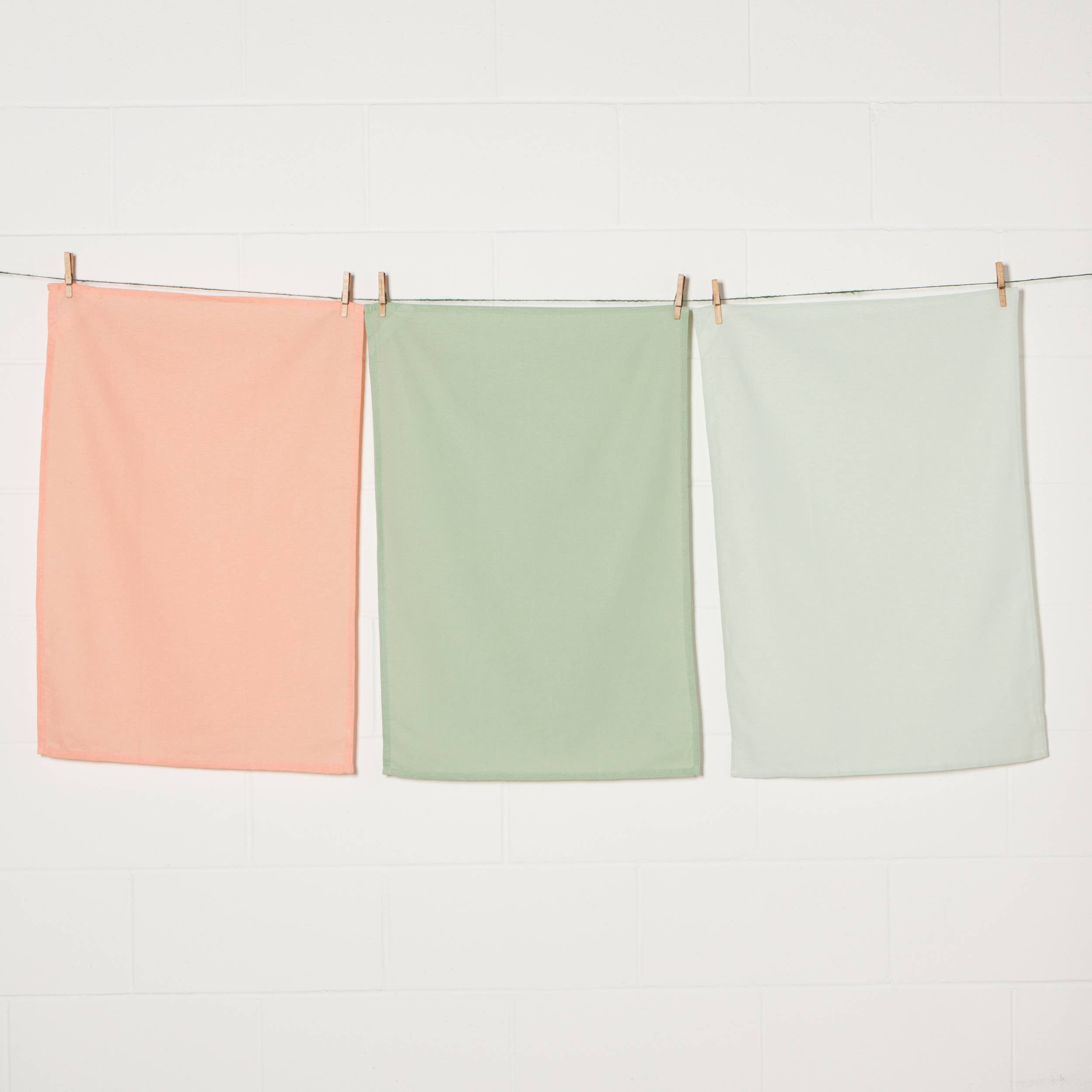 Dawn Eucalyptus Mist Floursack Dishtowels Set of 3