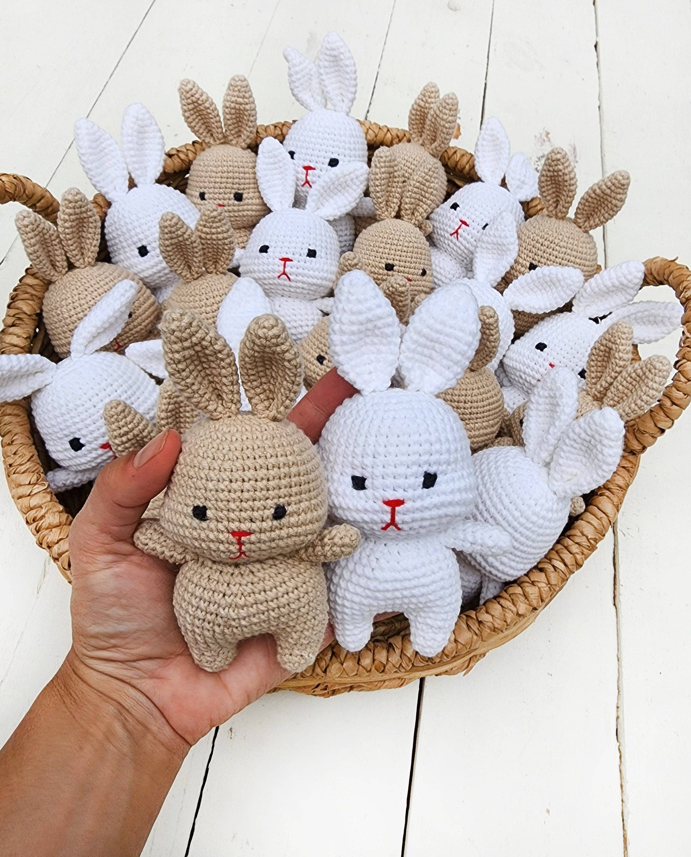 Mini Crochet Pocket Bunny
