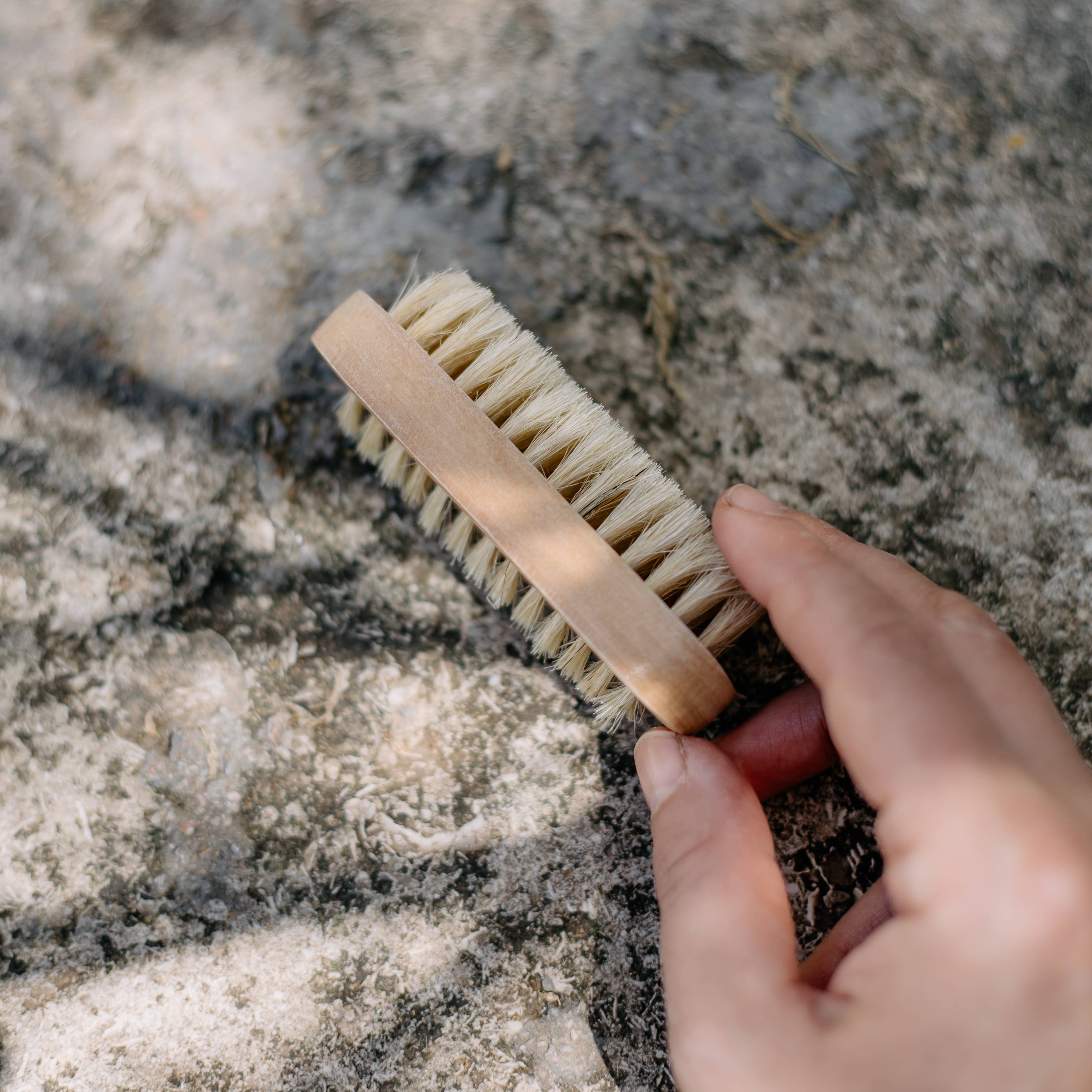 Light nail brush with natural bristles- lotus wood