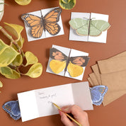 Flutter Friends Butterfly Fold-Out Greeting Card Set