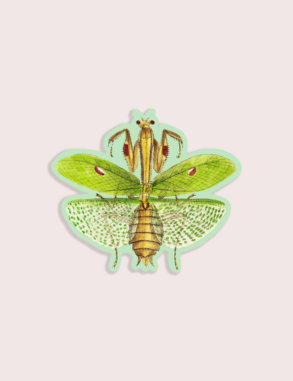 cb6657d718e123a8feaf5022442b19b1ad24798a06b3174ada89aa8a155da368.jpg