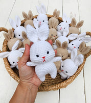 Mini Crochet Pocket Bunny