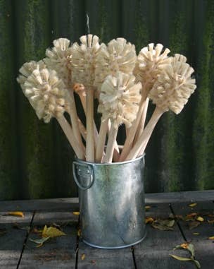 REDECKER Bottle Brush 35cm/14"