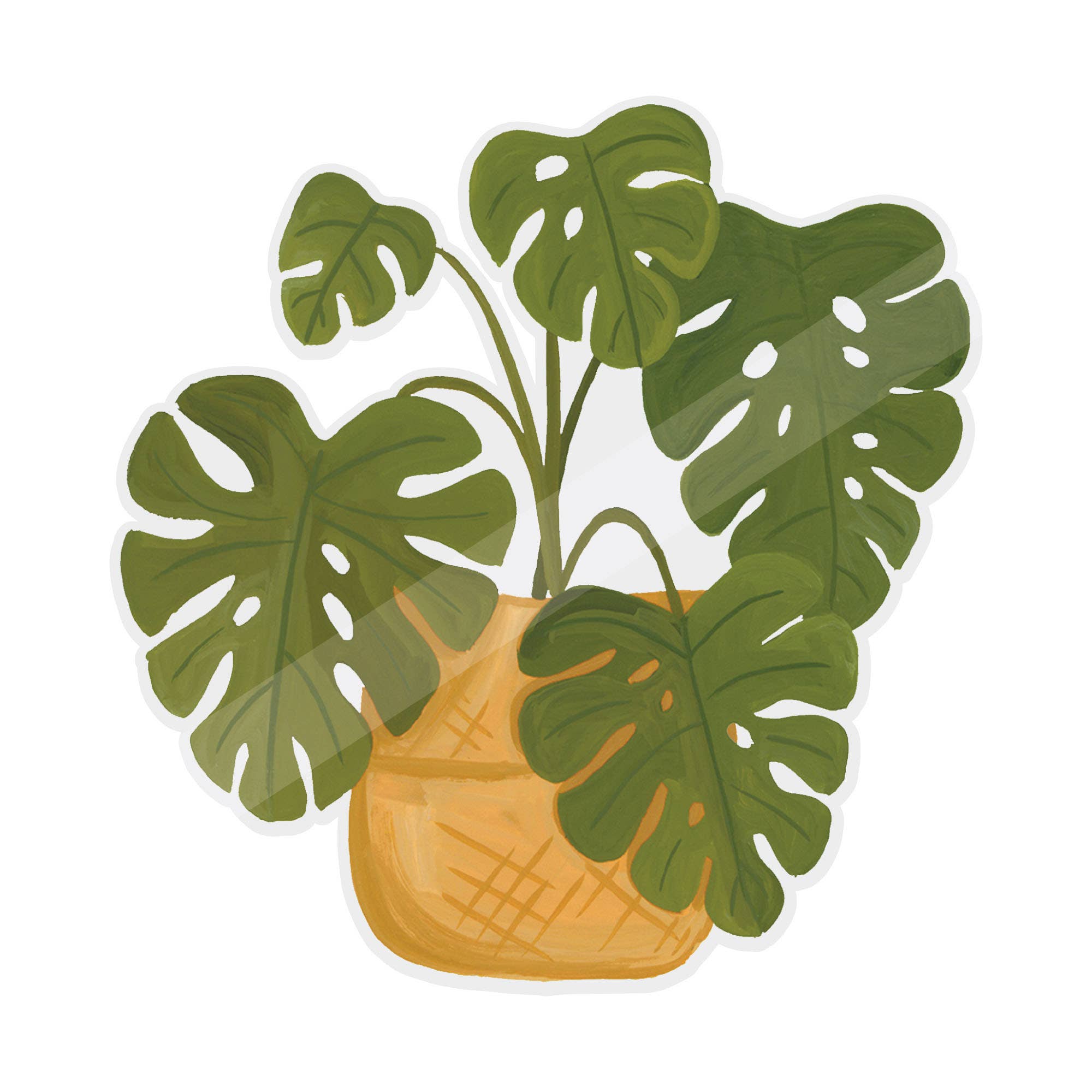 Monstera Plant Clear Decal Sticker
