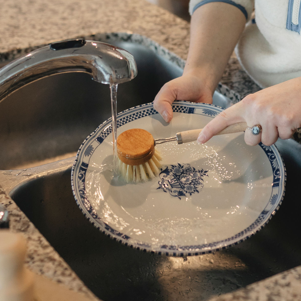 Beechwood Long Handle Dish Brush – Soft Agave