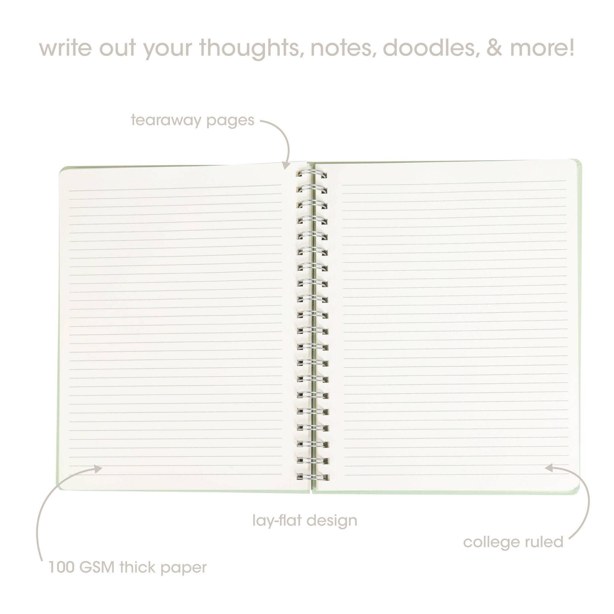 Frog Toile Spiral Notebook, 8x10 Stationary Journal