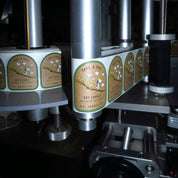 P.F. Candle Co. *LIMITED* Take a Hike for Peanuts™– Standard Candle