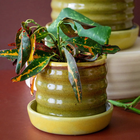Handmade Ceramic Planter with Drip Plate - Green/Pear