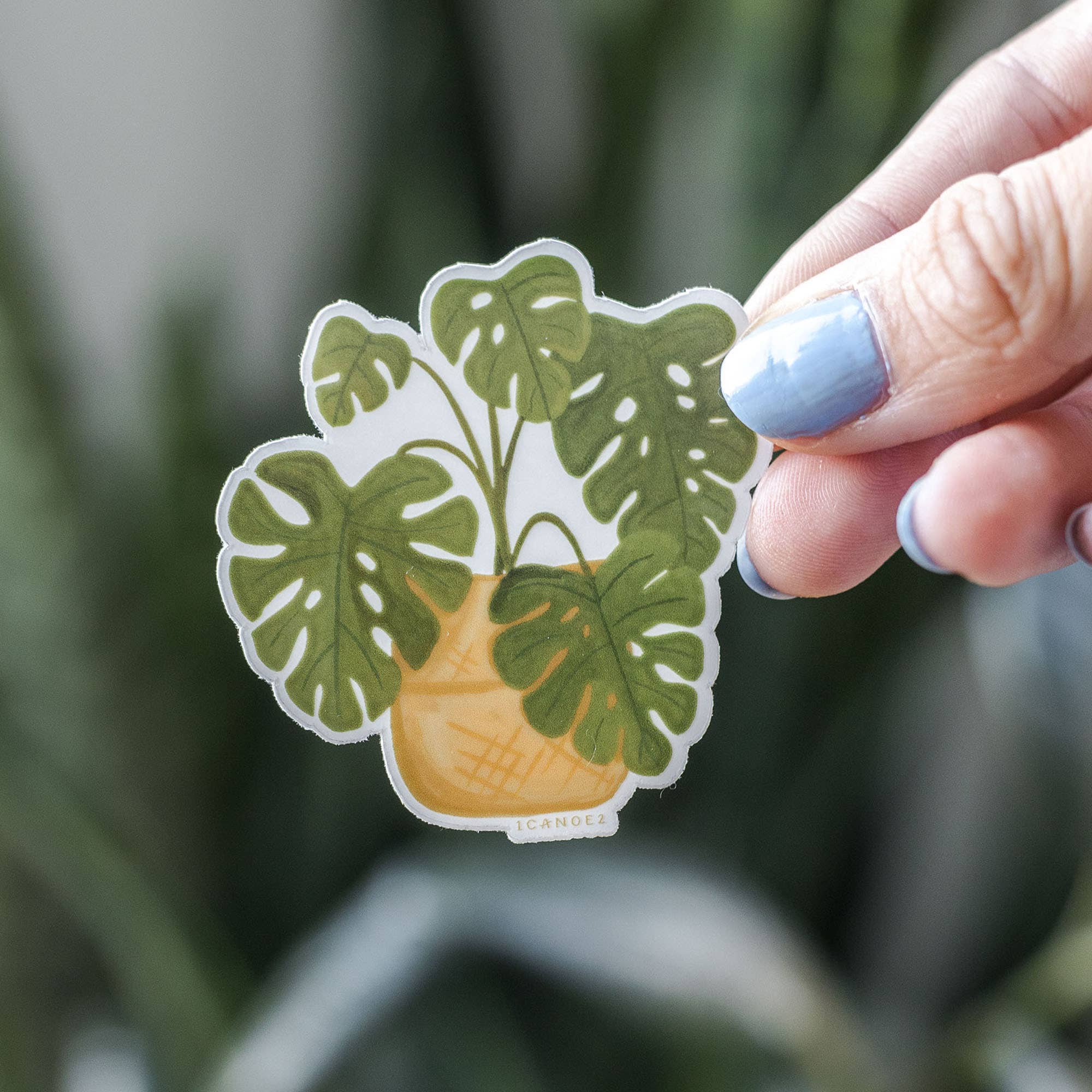 Monstera Plant Clear Decal Sticker