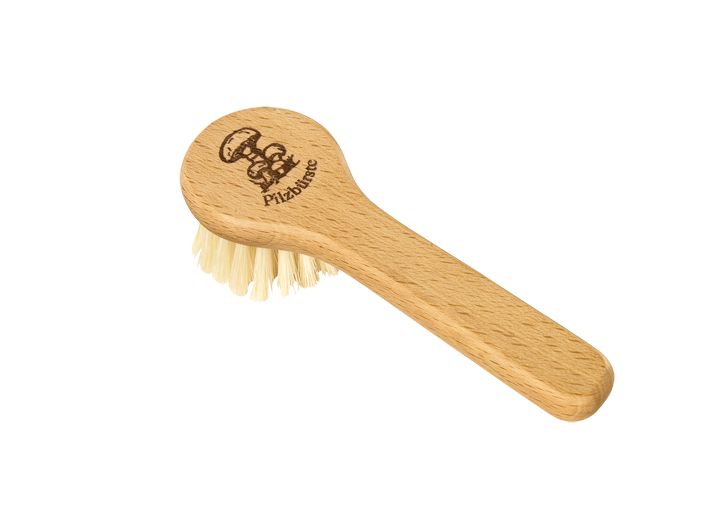 Mushroom Brush with Handle