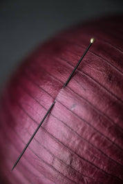 Merchant and Mills Entomology Pins