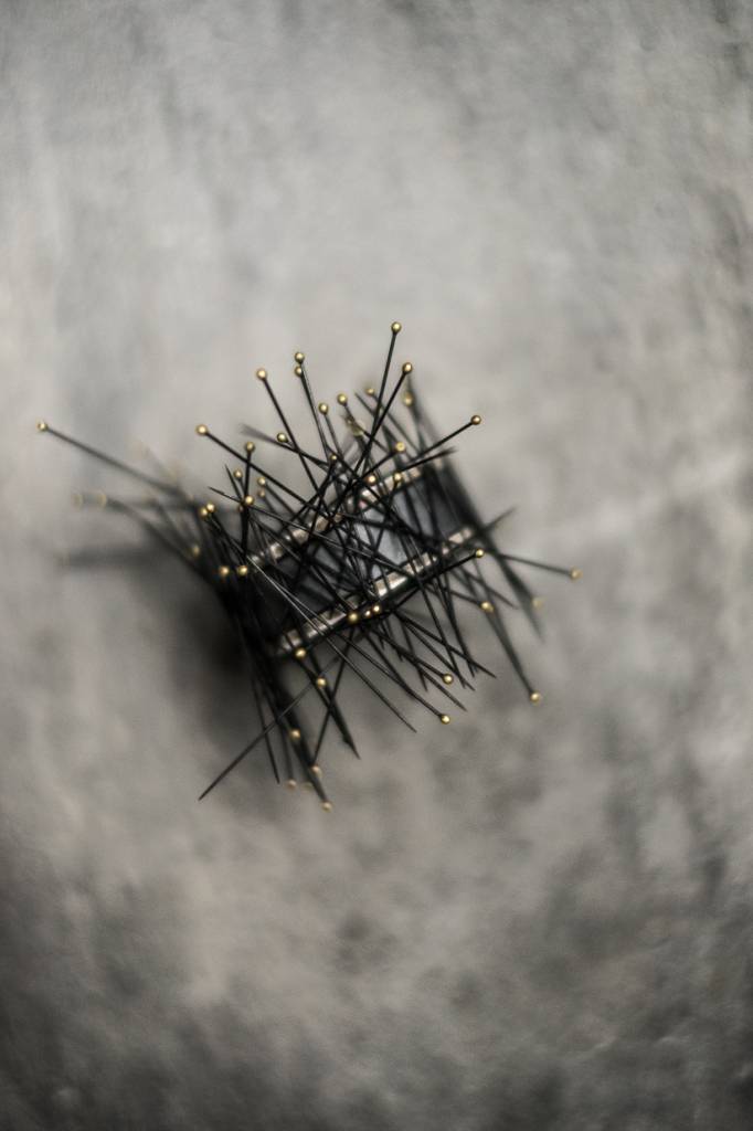 Merchant and Mills Entomology Pins