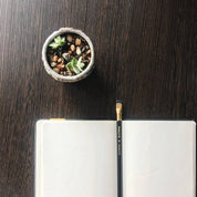 Blackwing Pencil, Matte (Soft Graphite): Box of 12