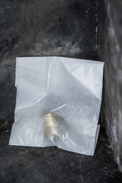 Merchant and Mills Tailors Thimble